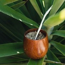 Bombilla à Maté x6 YVY