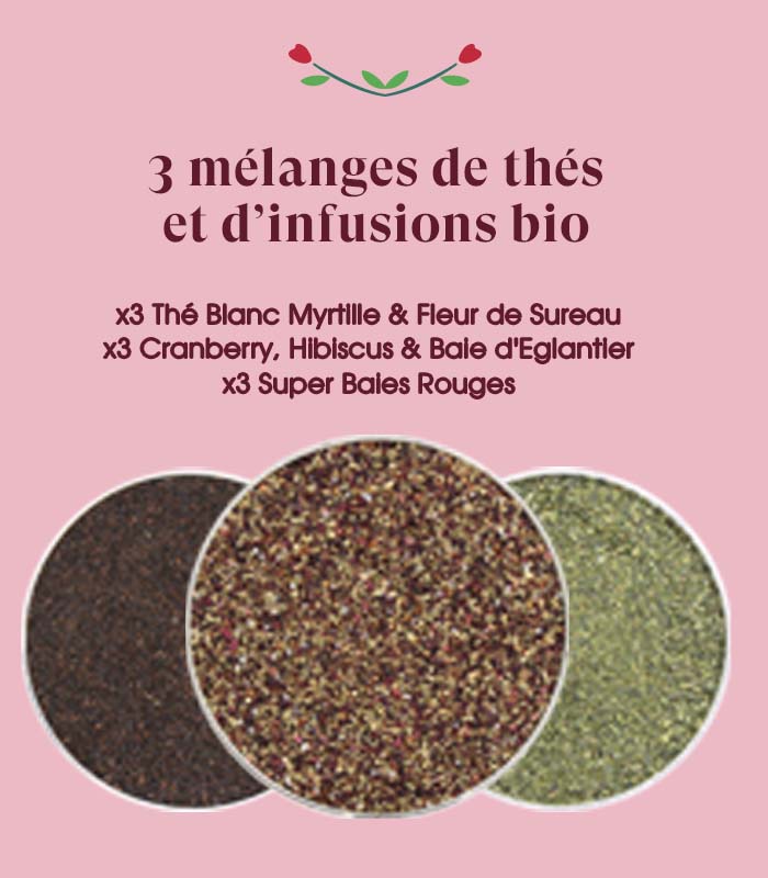 Coffret Prismes Je t’aime Bio 12 sachets x6 ETS