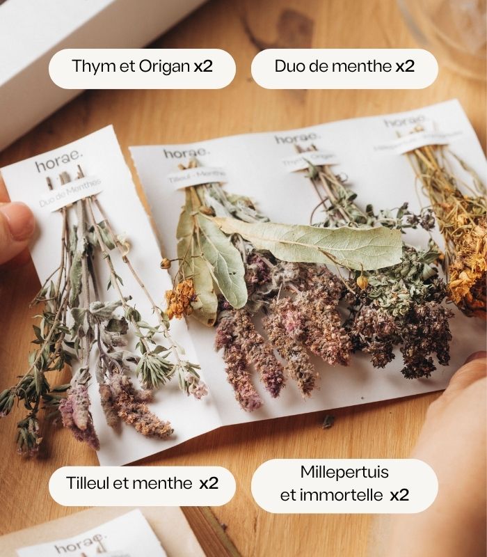 Coffret L'herbier 8 Bouquets x6 Horae