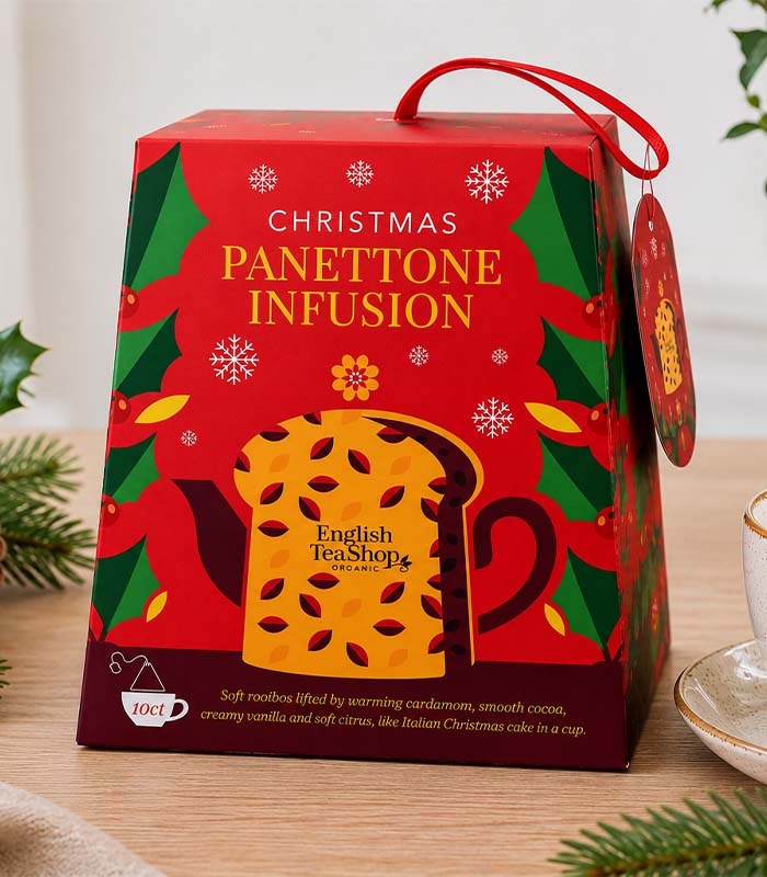 Panettone Infusion bio 10 sachets x6 ETS
