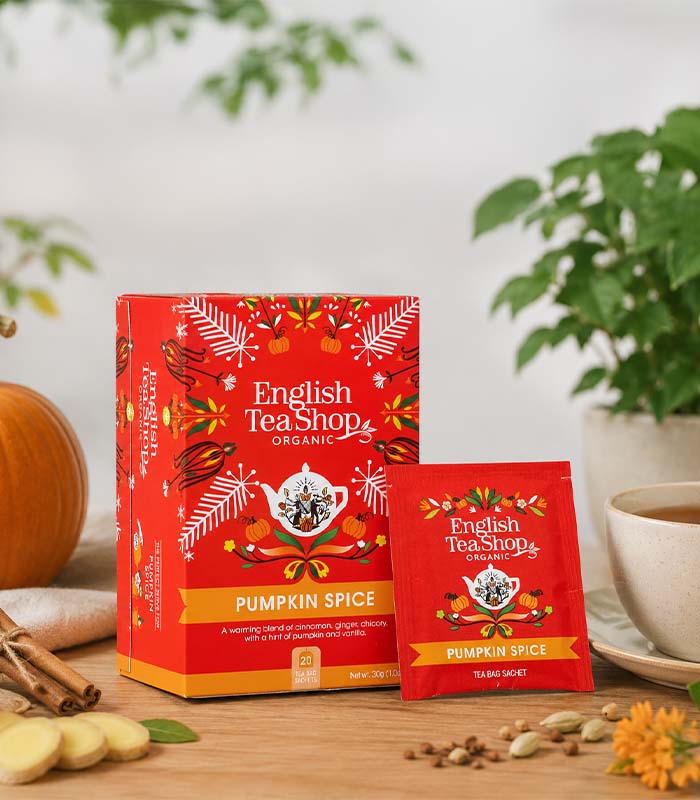 Infusion Pumpkin Spice bio 20 sachets x6 STS