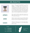 Miel d'Eucalyptus 170g x12