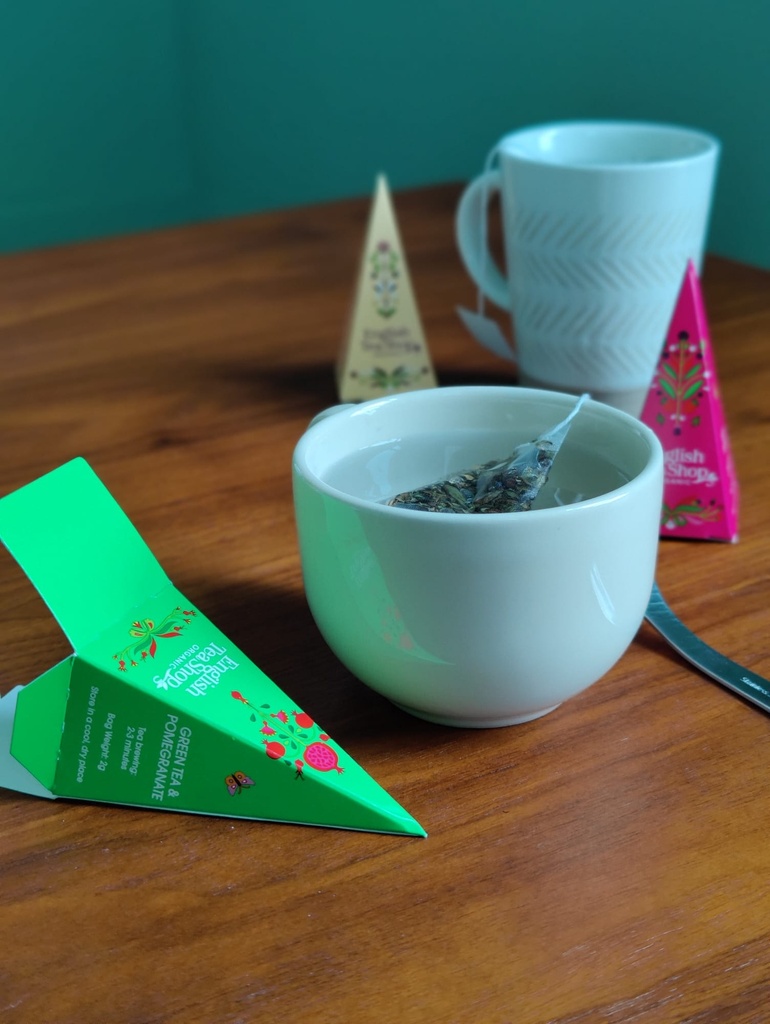Prismes individuels 25 sachets pyramides Bio ETS