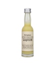 Herbe liquide Gingembre Bio 40 ml x12 Northern Greens