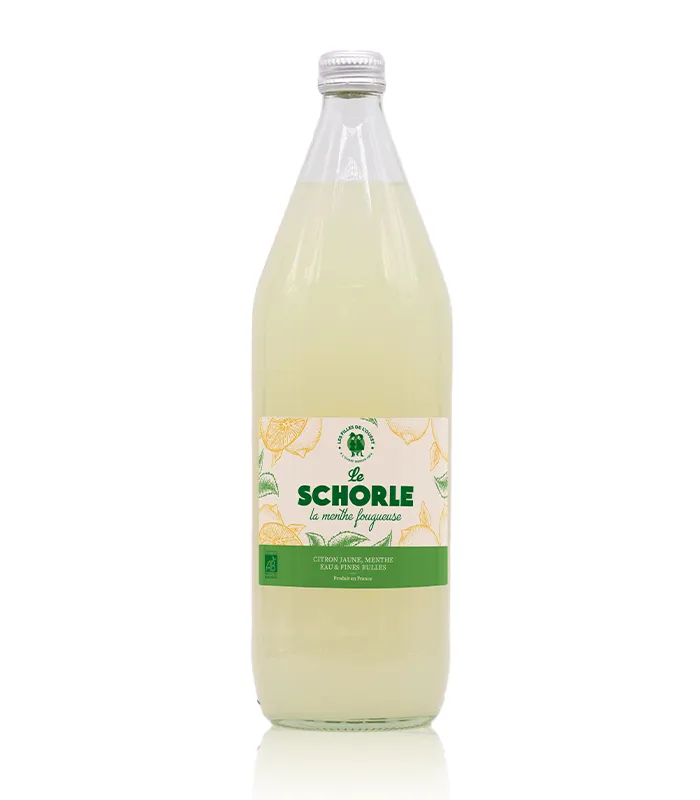 [75380] Schorle Menthe Fougueuse Bio 1L x6 Les Filles de l’Ouest