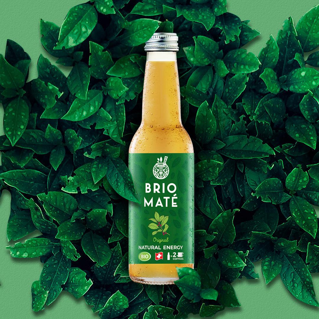 Brio Maté Glacé Bio