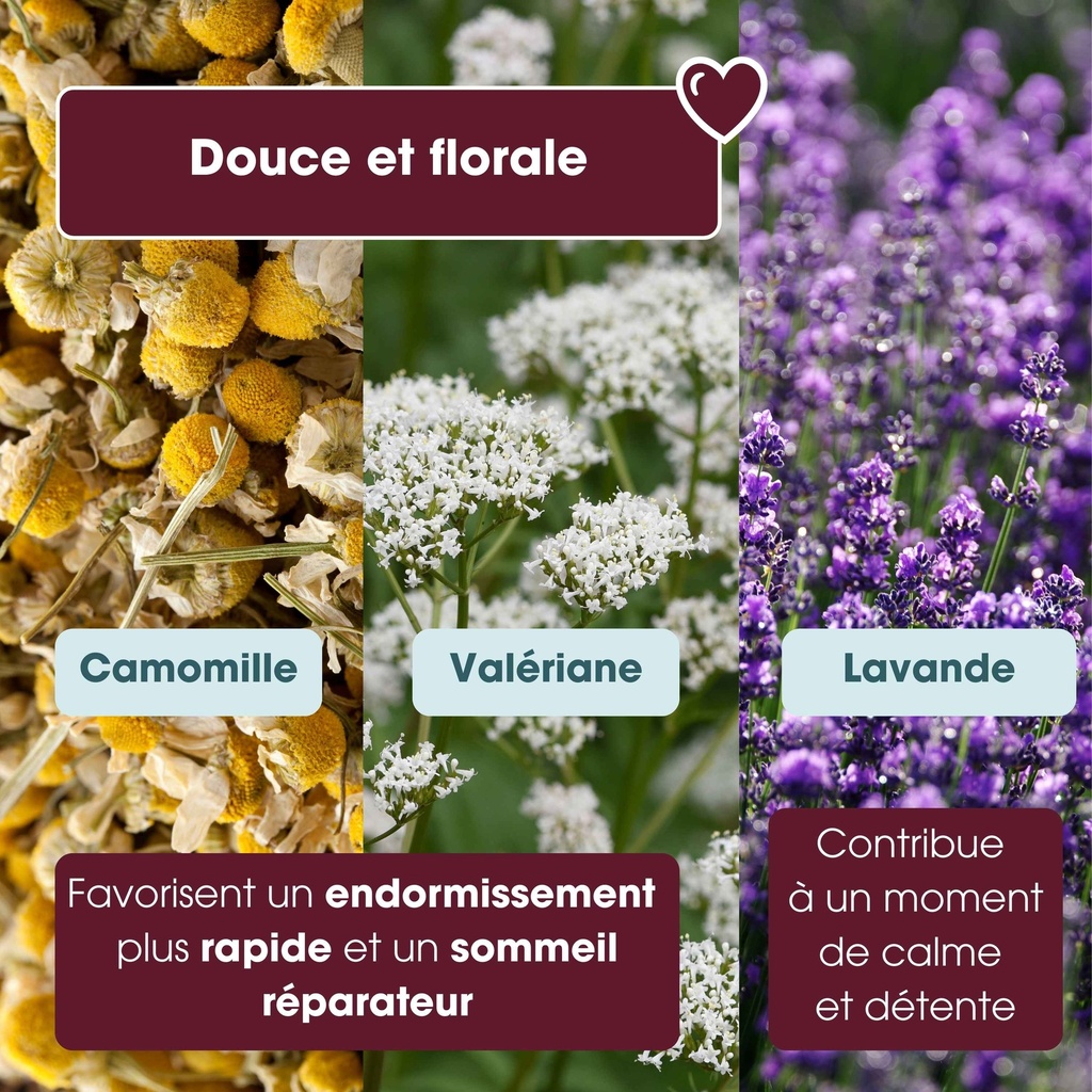 Infusion Sleepy Me Bio English Tea Shop