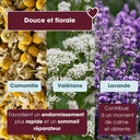 Infusion Sleepy Me Bio English Tea Shop