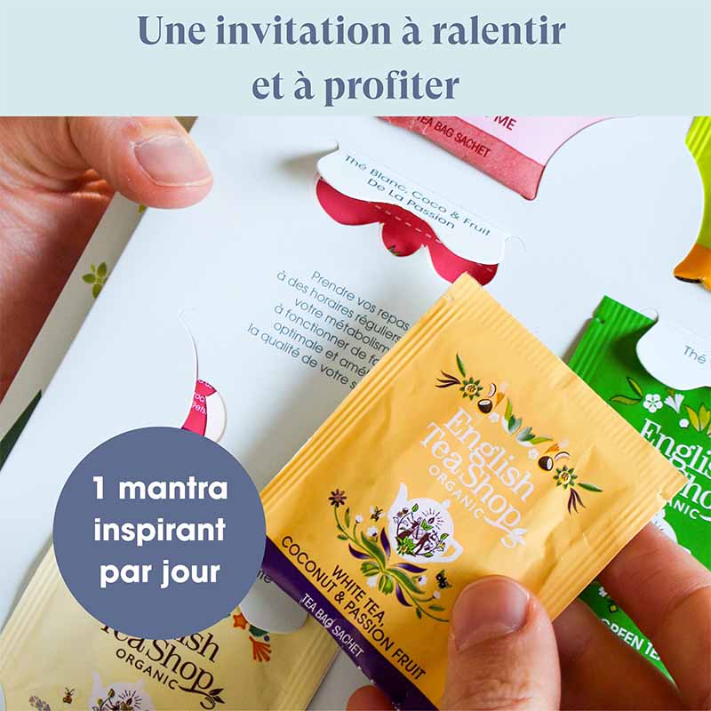 Livre de thés et infusions Bien être 24 sachets bio x12 ETS