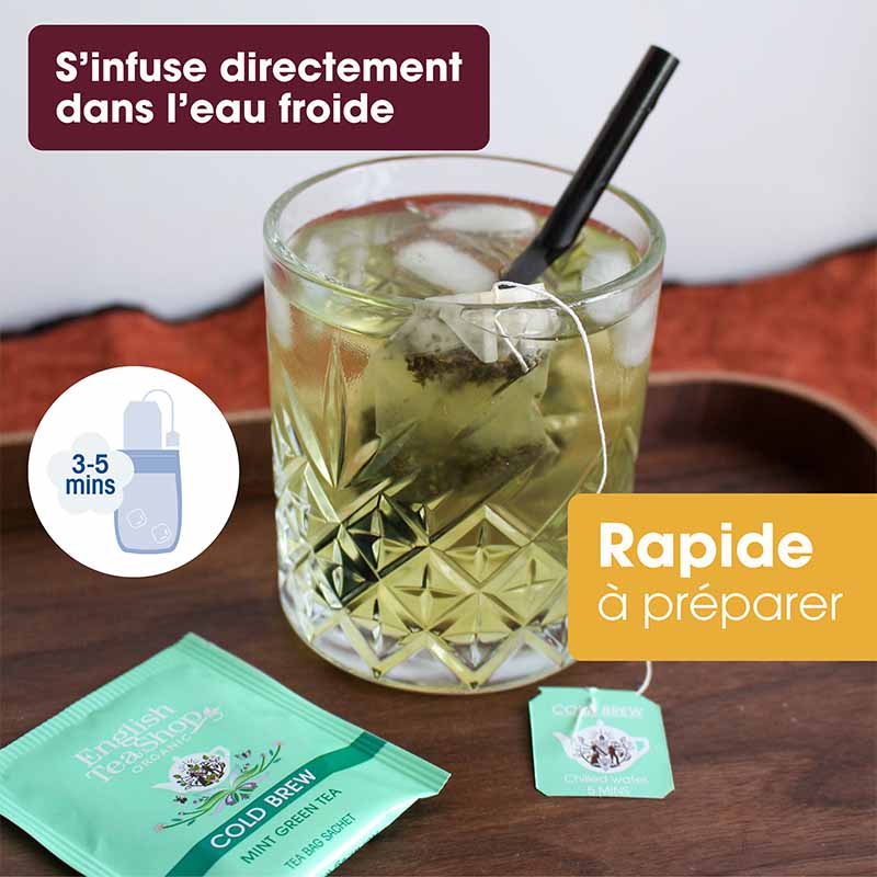 Thé Glacé Thé Vert Menthe Bio 20 sachets x6 ETS
