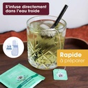 Thé Glacé Thé Vert Menthe Bio 20 sachets x6 ETS