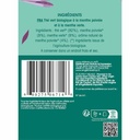 Thé Glacé Thé Vert Menthe Bio 20 sachets x6 ETS