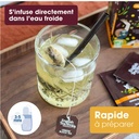 Thé Glacé Thé Noir Citron Bio 20 sachets x6 ETS