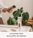 baton de fumigation