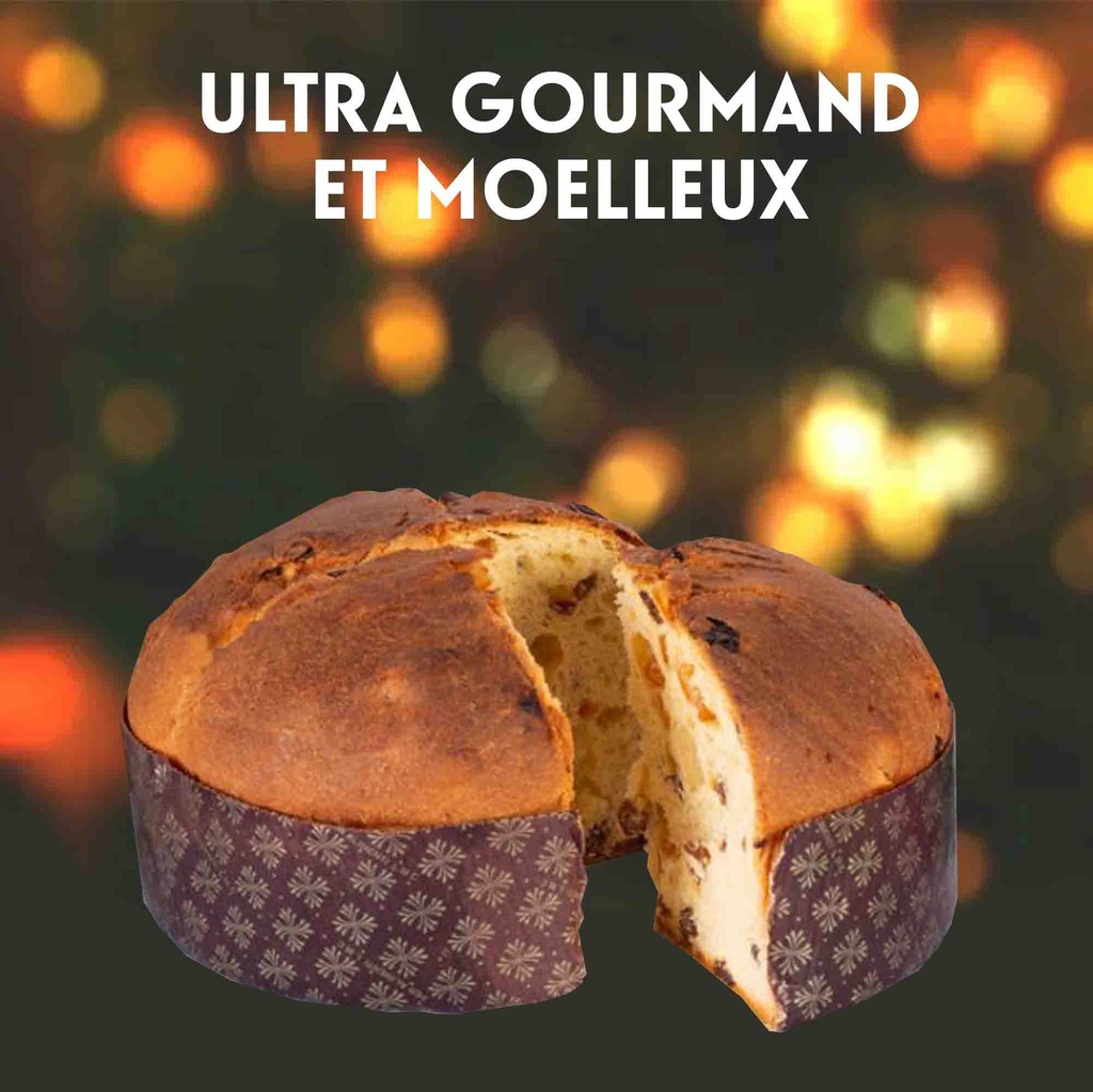 Panettone Bio 750g x6 Vergani