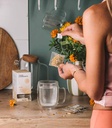 Tisane d'herboriste Bio - Detox 15 sachets x6 Horae