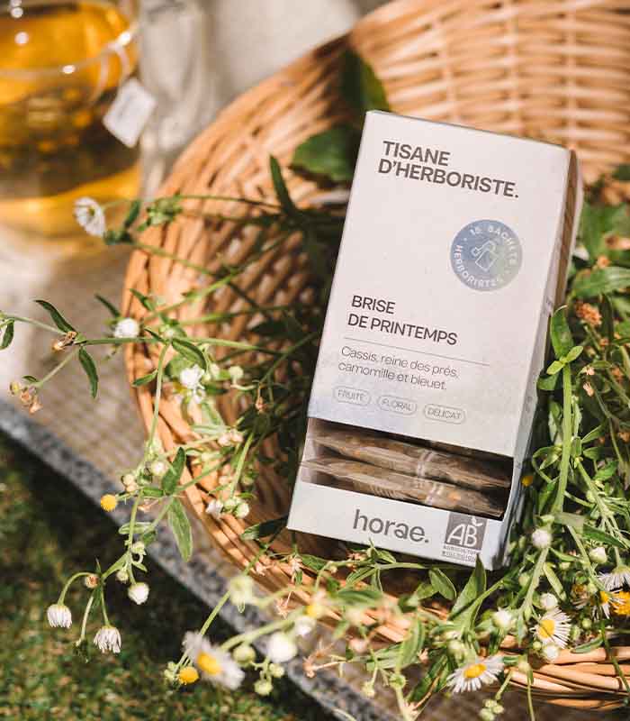 Tisane d'herboriste Bio - Brise de Printemps 15 sachets x6 Horae
