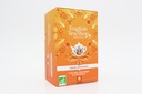  Curcuma, Gingembre & Citronnelle Bio 20 sachets  x6