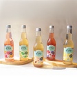 Kombucha Passion framboise Bio 33cl x12 Atika
