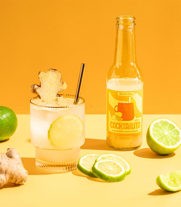 Pack 4 Moscow Mule 200ml (12,5% Alc.) - x6 Cocktailito