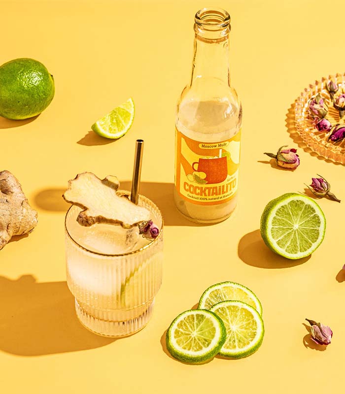 Pack 4 Moscow Mule 200ml (12,5% Alc.) - x6 Cocktailito