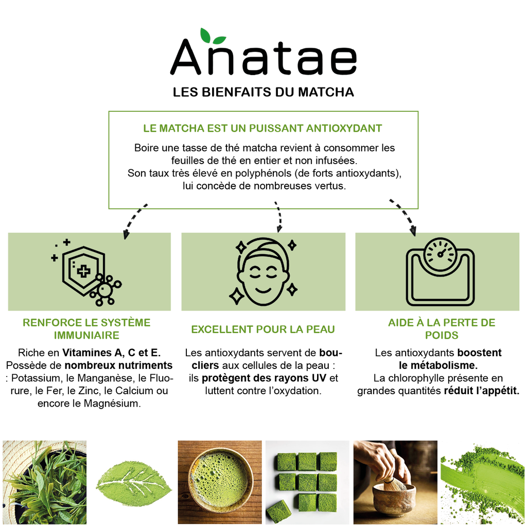 Thé Matcha Premium 30g x10