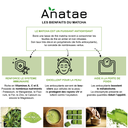 Thé Matcha Premium 30g x10