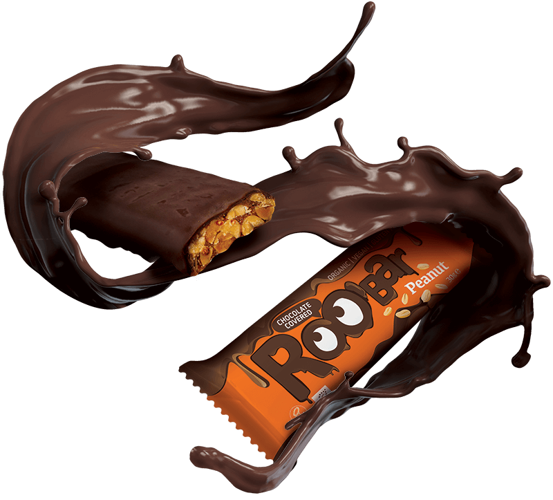 Barre Cacahuètes Enrobée de Chocolat Bio 30g x16