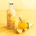 Elixir Gingembre Bio 20cl x12 Gili