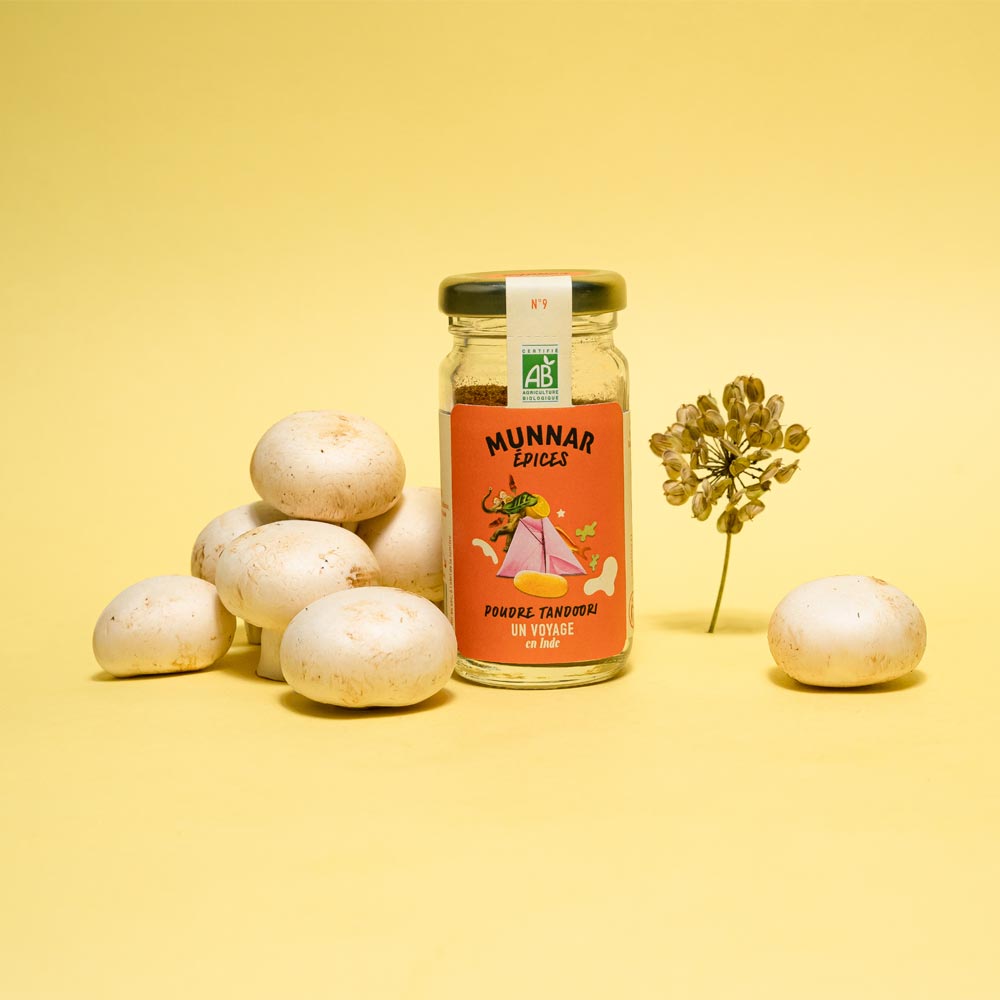 Coffret Indien de 3 épices Bio x6 Munnar