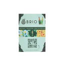 Flyer Brio Maté