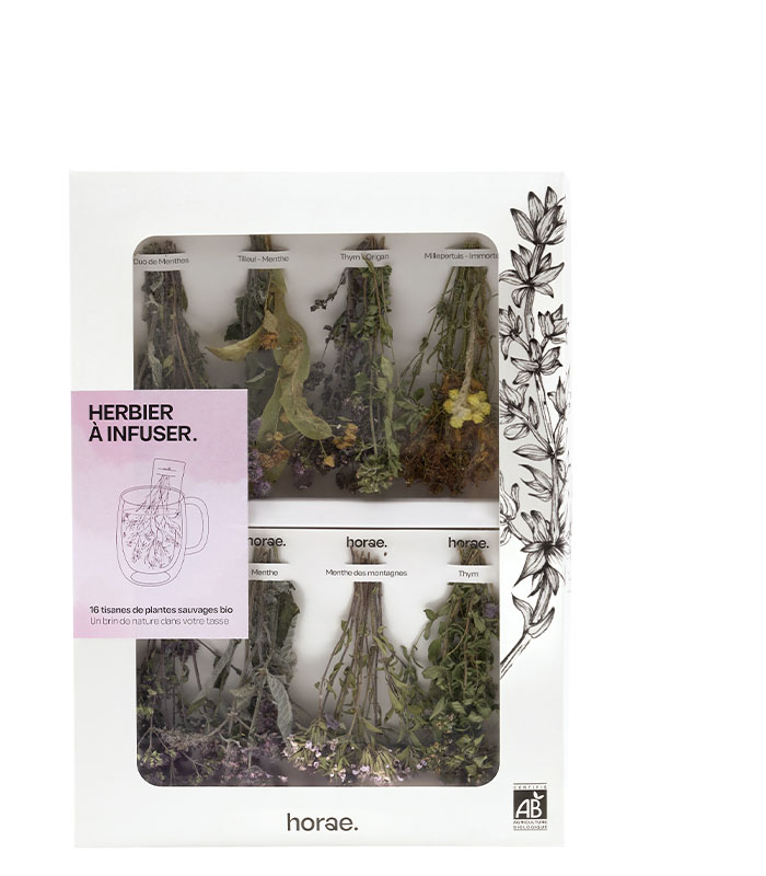 [50547] Coffret 16 bouquets à infuser en Tasse bio x6 Horae
